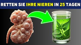 Die 10 besten Kräutergetränke zur HEILUNG Ihrer NIEREN in 25 Tagen [upl. by Arahsak]