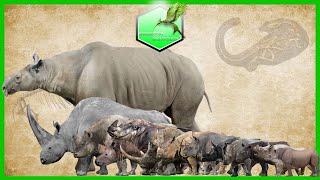 Rhinos Comparison Size Living Extinct [upl. by Wadesworth]