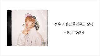 THE BOYZ PLAYLIST 더보이즈 선우 사클 모음  Full DaSH [upl. by Nadbus]