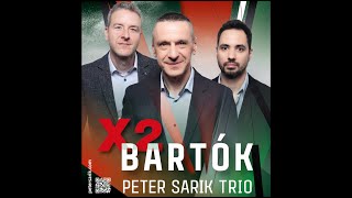 Peter Sarik Trio X2 Bartók [upl. by Anes]