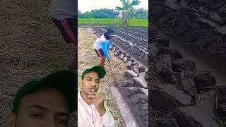 Behtar quality ki mitti petani fishing sawah mancing pertanian automobile cranemachine [upl. by Ollayos942]