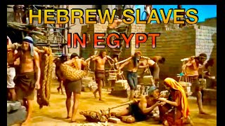 Hebrew Slaves In Egypt  The Ten Commandments Hindi 4K ✨ [upl. by Urdna]