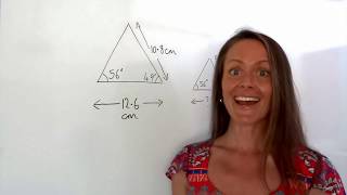 The Maths Prof Similarity part 1 Sides of Similar Shapes [upl. by Atsed650]