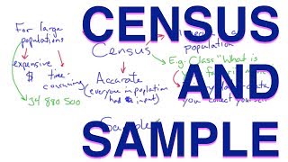 Census and Sample  Methods of Data Collection  Learn with an Experienced Teacher [upl. by Kurys]