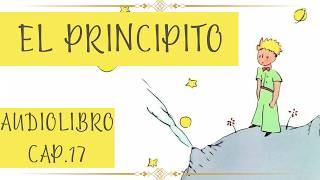 EL PRINCIPITO Cap 17 AUDIOLIBRO [upl. by Dlanar]