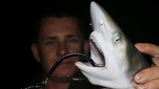 Bit Off More than He Could Chew Shark Fishing Fail [upl. by Linder]