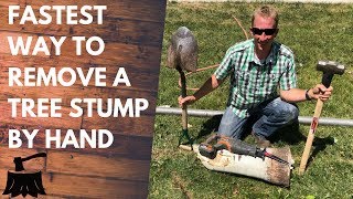 How To Remove A Tree Stump By Hand In 20 Minutes Or Less [upl. by O'Hara]