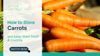 How to Store Carrots and Keep them Fresh and Crunchy [upl. by Bibbye199]