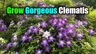 Grow Gorgeous Clematis How to Grow Loads of Beautiful Flowers [upl. by Meggie]