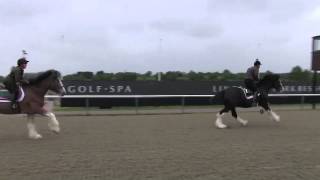 Lingfield Racecourse  Shires vs Clydesdales preview  Horse amp Hound [upl. by Roswell]