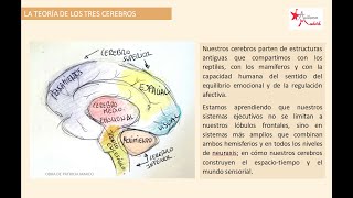 cuestionario tema 1 PSICOLOGIA SOCIAL UNED VOLUMEN I [upl. by Wilinski]