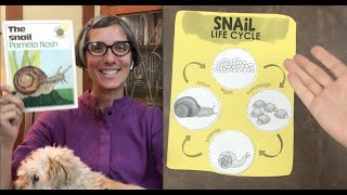 The Snail  Life Cycle  Science  Preschool  Read Aloud  Story [upl. by Tifanie]