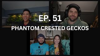 Phantom Gene in Crested Geckos  Ep 51 of The Gecko Pod [upl. by Idnarb]