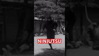 How To Do NINJUTSU Caltrops Techniques from TOGAKURE RYU 💥 Shorts Ninjutsu MartialArts [upl. by Esirec]