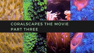 Coralscapes the Movie  Part Three [upl. by Adnahcal764]