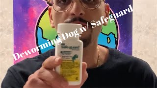 Deworming A Puppy With Safeguard Goat Dewormer [upl. by Yeldahc]