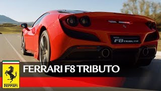 Ferrari F8 Tributo outstanding performance [upl. by Coumas]