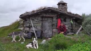 Jakt etter steinbuer på Hardangervidda [upl. by Rehtae]