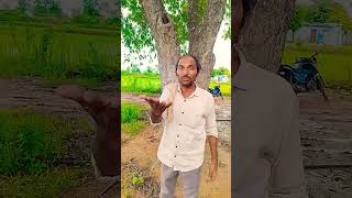 ఈటెల్లావ్ bro trending viralvideo comedy justforfun jokes youtube laddanna funny [upl. by Fugazy739]