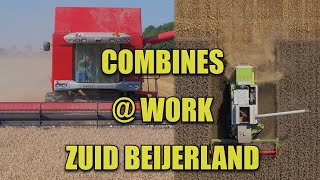 Combines  Work in ZuidBeijerland Hoeksche Waard [upl. by Liatris]