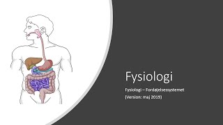 1 semester Fysiologi  Fordøjelsen [upl. by Nicodemus163]