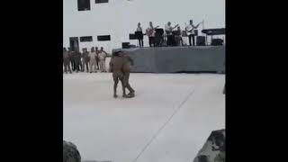 Militares bailando chistosos [upl. by Meuse]