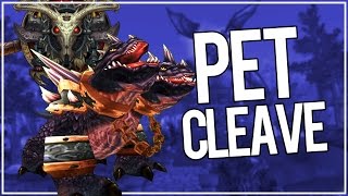 Intense Pet Cleave Build  Beast Mastery Hunter PvP WoW Legion 715 [upl. by Harifaz538]