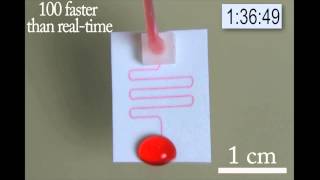 Paper Microfluidic Device running for 3h [upl. by Atilehs]