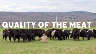 Quality of The Meat  Short Documentary [upl. by Oetomit234]