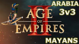 Plumed Archer OP  3v3 Arabia2v3  Age Of Empires 2  Mayans [upl. by Eynenihc]