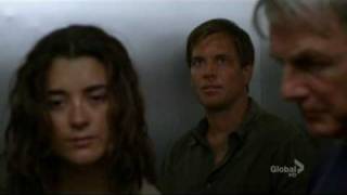 NCIS 7x01 Truth or Consequences The Team Returns Home [upl. by Kalli]