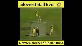 Slowest ball ever in cricket history [upl. by Carol-Jean781]