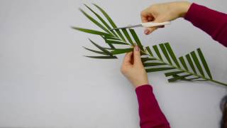 Ikebana Tips by Junko 16 more fun modifying leaves [upl. by Casady]