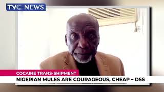 VIDEO Experts Speak On How To End Cocaine Transshipment Between Nigeria And Brazil [upl. by Killian]