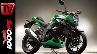 Kawasaki Z 300 2015  Specs Price Release [upl. by Htebiram]