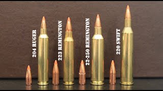 204 Ruger vs 223 Remington vs 22250 Remington vs 220 Swift Review amp Comparison [upl. by Pelligrini622]