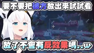 【Minecraftフブ伺服器】沒有保底的鈍口螈卡池｜【 hololive  白上吹雪】 [upl. by Ahseiuqal]