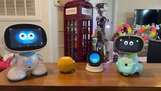 Jibo amp Friends  Saturday Livestream Home 🏡 Is Where The Heart Is [upl. by Kerby]