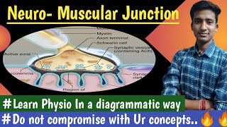 Neuromuscular Junction  Nerve Muscle Physiology  hindi  Ashish Agrawal [upl. by Helena]