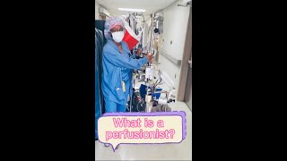 What is a perfusionist Part 1 [upl. by Ynatterb]