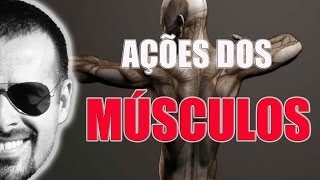 Sistema Muscular Ação dos músculos macete fácil de aprender  Anatomia Humana  VideoAula 023 [upl. by Anan]