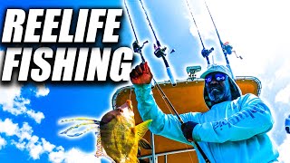 SMALL BOAT FISHING OFFSHORE IN STRONG WINDS fypyoutube offshoretackle fish hogfish [upl. by Rapp]