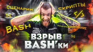 Как писать BASH скрипты Закладывание основ или начало с нуля [upl. by Simonetta415]