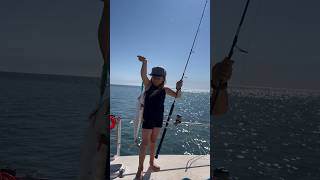 Mackerell fish fishing boat island wa attack video shorts australia [upl. by Wiltsey948]