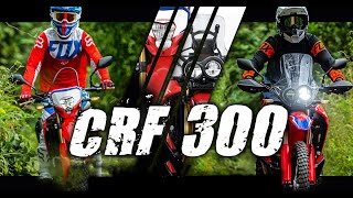 Is The CRF300L Really Something To Get Excited About [upl. by Nedyarb709]