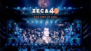 Zeca Pagodinho 40 anos Ao Vivo  “Pisa como eu pisei” CLIPE OFICIAL [upl. by Evatsug]