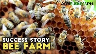 Bee Farming Success Story  Milea Bee Farming  Agribusiness Philippines [upl. by Fanchet871]