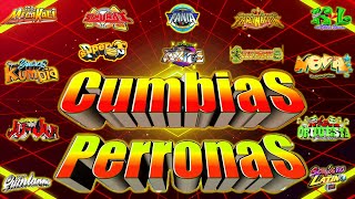 💥MIX EXITOS CUMBIAS SONIDERAS 2024 💃💥CUMBIAS PARA BAILAR TODA LA NOCHE 💥LAS MEJORES CUMBIAS DEL 2024 [upl. by Conners343]