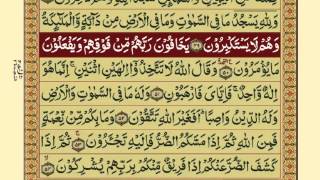 QuranPara1430Urdu Translation [upl. by Oys767]