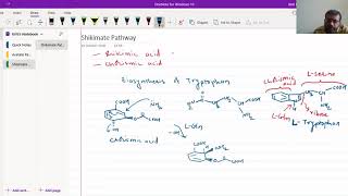 Shikimate Pathway  Biosynthesis Of Tryptophan KirtiPatelChemistry [upl. by Pollack]